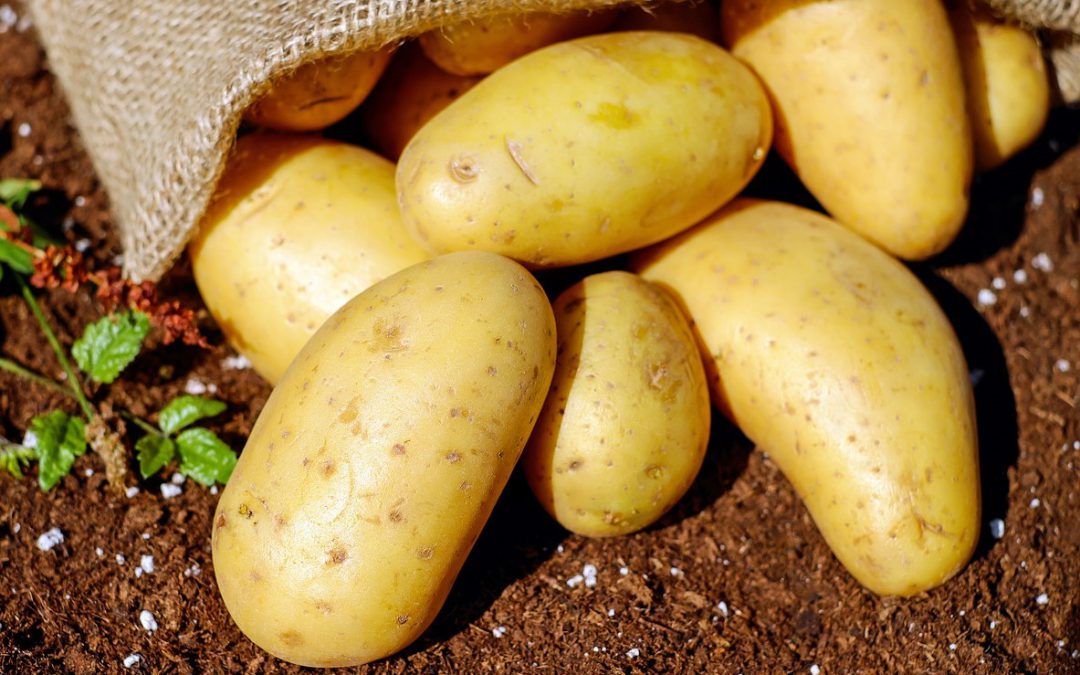 Heimatverein Kartoffelfest 2019