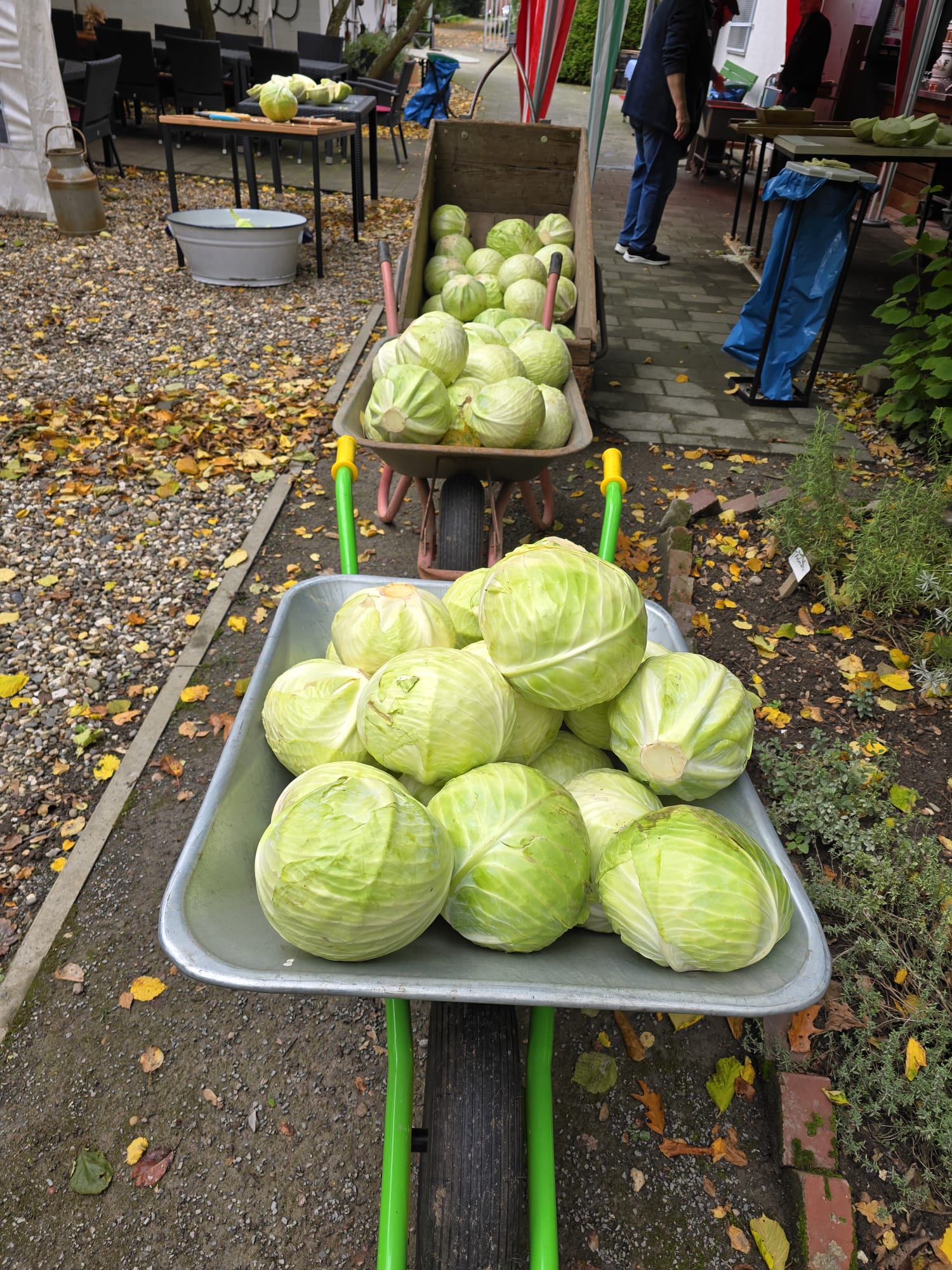 IMG-20241013-WA0018